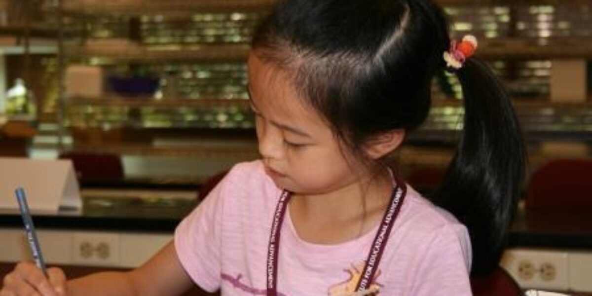 Institute for Educational Advancement - Connecting bright minds; nurturing intellectual and personal growth