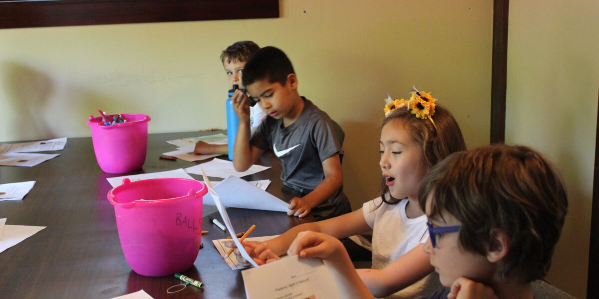 Institute for Educational Advancement - Connecting bright minds; nurturing intellectual and personal growth