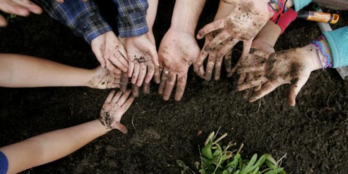 Institute for Educational Advancement - Connecting bright minds; nurturing intellectual and personal growth