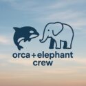 Orca and Elephant Icons above "orca + elephant crew" over a blue sky with sunset toned clouds